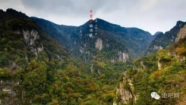 逃出林中村